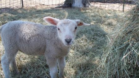 0106_cleanface_01_compressed2 0106_cleanface_01_compressed2