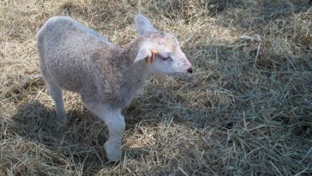 0905_cleanface_01_compressed1 0905_cleanface_01_compressed1