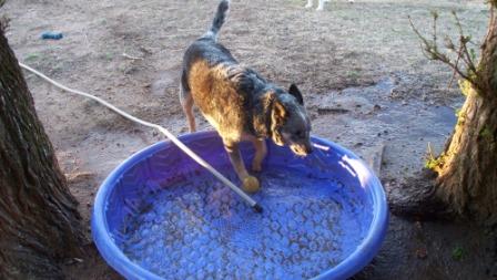 ashinpool_02_compressed ashinpool_02_compressed