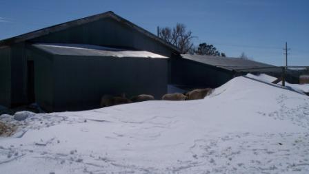 bigkids_snowdrift_01_compressed