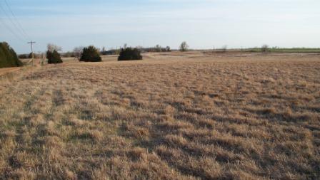 looking_back_at_house_compressed