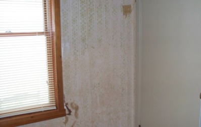 old_wallpaper_compressed