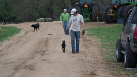 randy_blkicelamb_01_compressed randy_blkicelamb_01_compressed