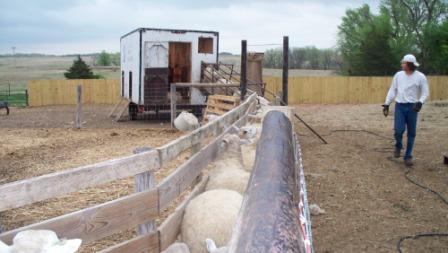 shearing_02_compressed