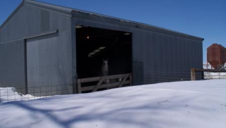 sheepbarn_snowdrift_03_compressed sheepbarn_snowdrift_03_compressed