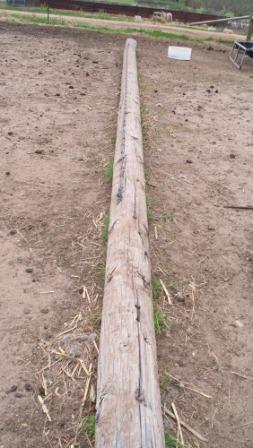 telephonepole_copperwire_compressed telephonepole_copperwire_compressed