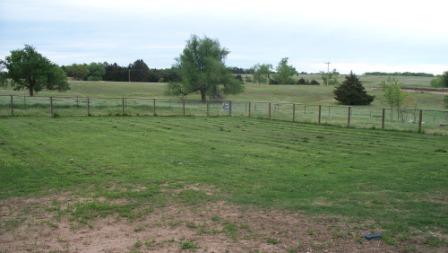 Backyard_GrassClippings_compressed Backyard_GrassClippings_compressed