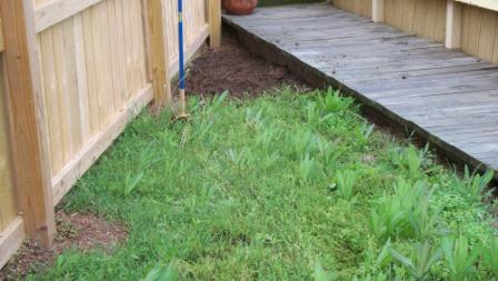 Flowerbed_02_compressed