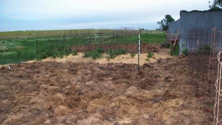 MulchedGarden_01_compressed