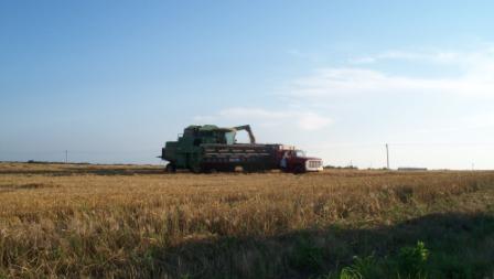 DadDumpingGrain_01_compressed