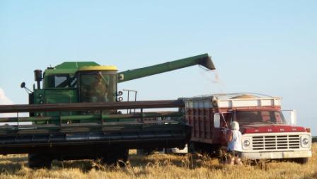 DadDumpingGrain_02_compressed