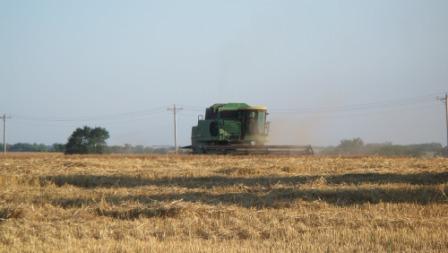 DadsCombine_01_compressed