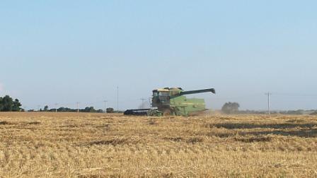 DadsCombine_02_compressed