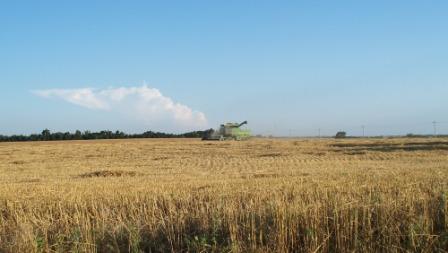 DadsCombine_03_compressed