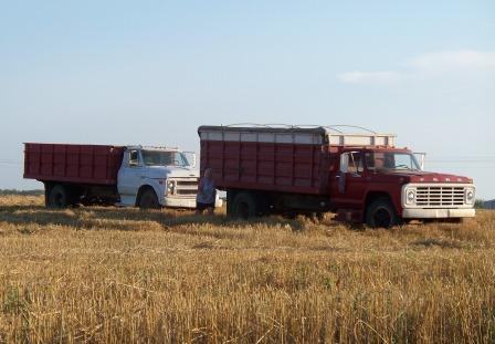 GrainTrucks&Mom_compressed