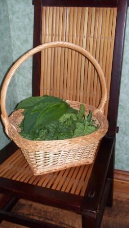 GreensInBasket_compressed GreensInBasket_compressed