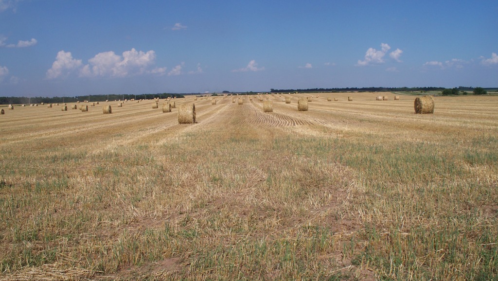 OatsHayBales_01_compressed