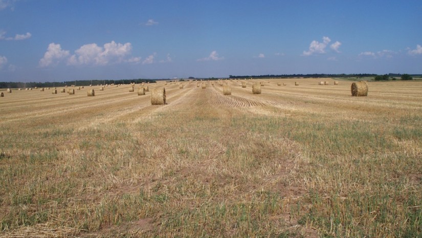 OatsHayBales_01_compressed