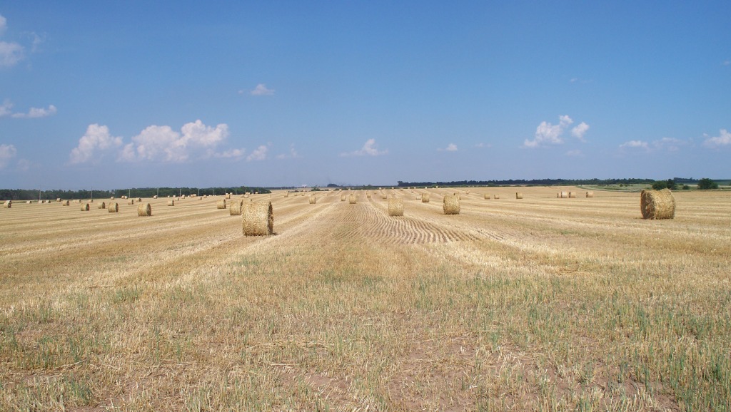 OatsHayBales_02_compressed