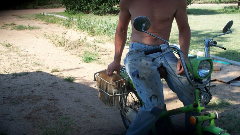 CooterOnTheScooter_01_compressed