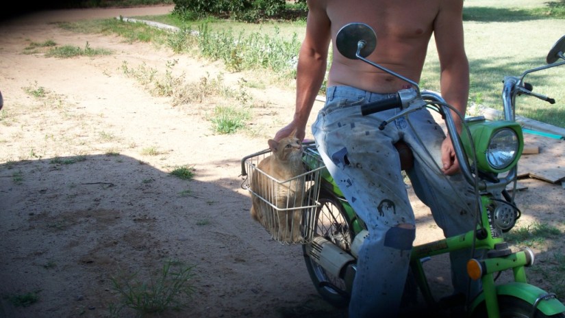 CooterOnTheScooter_02_compressed