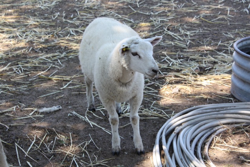 CutestBabyInTheWorld_01