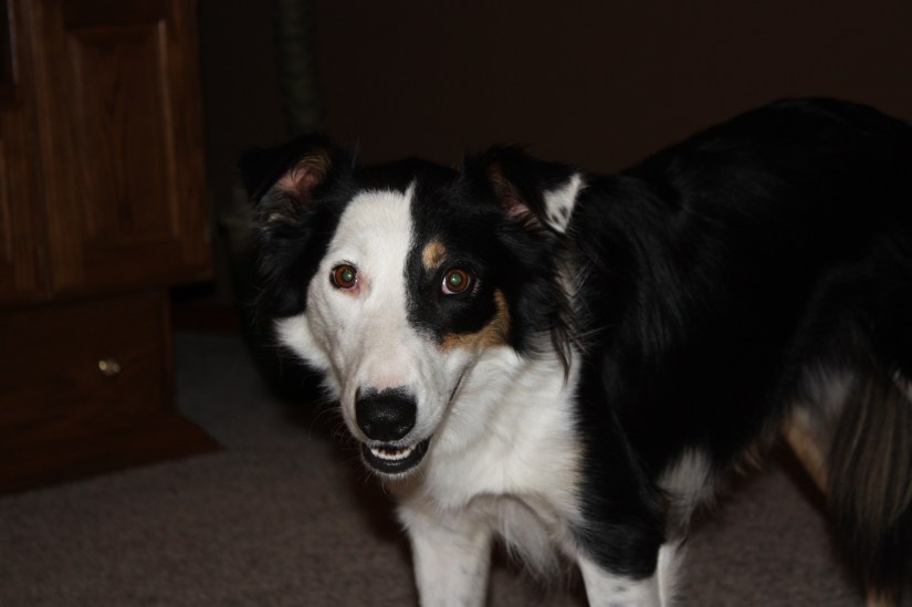 Thai_InFamilyRoom_02