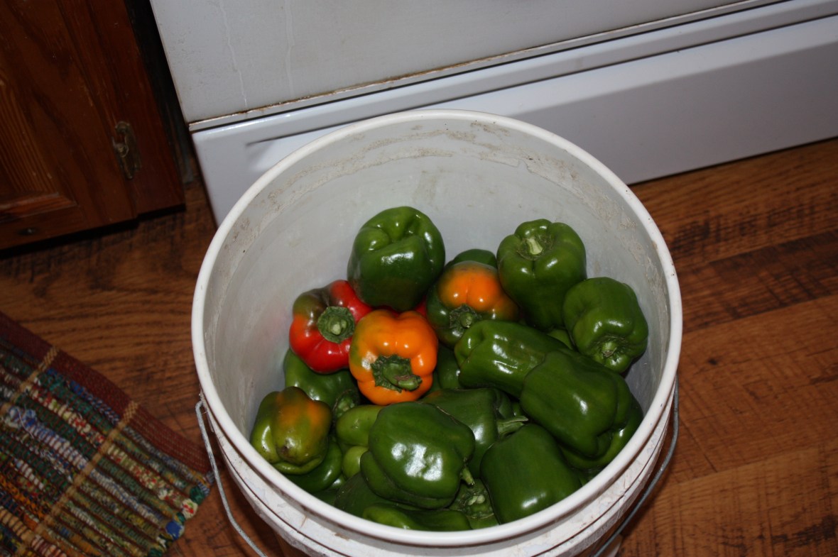 BellPeppers