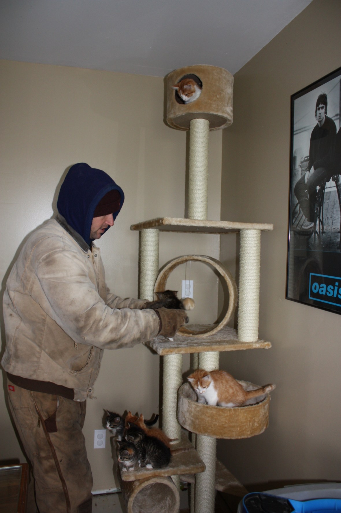 KittensOnTower_RandyToTheResue_01 KittensOnTower_RandyToTheResue_01