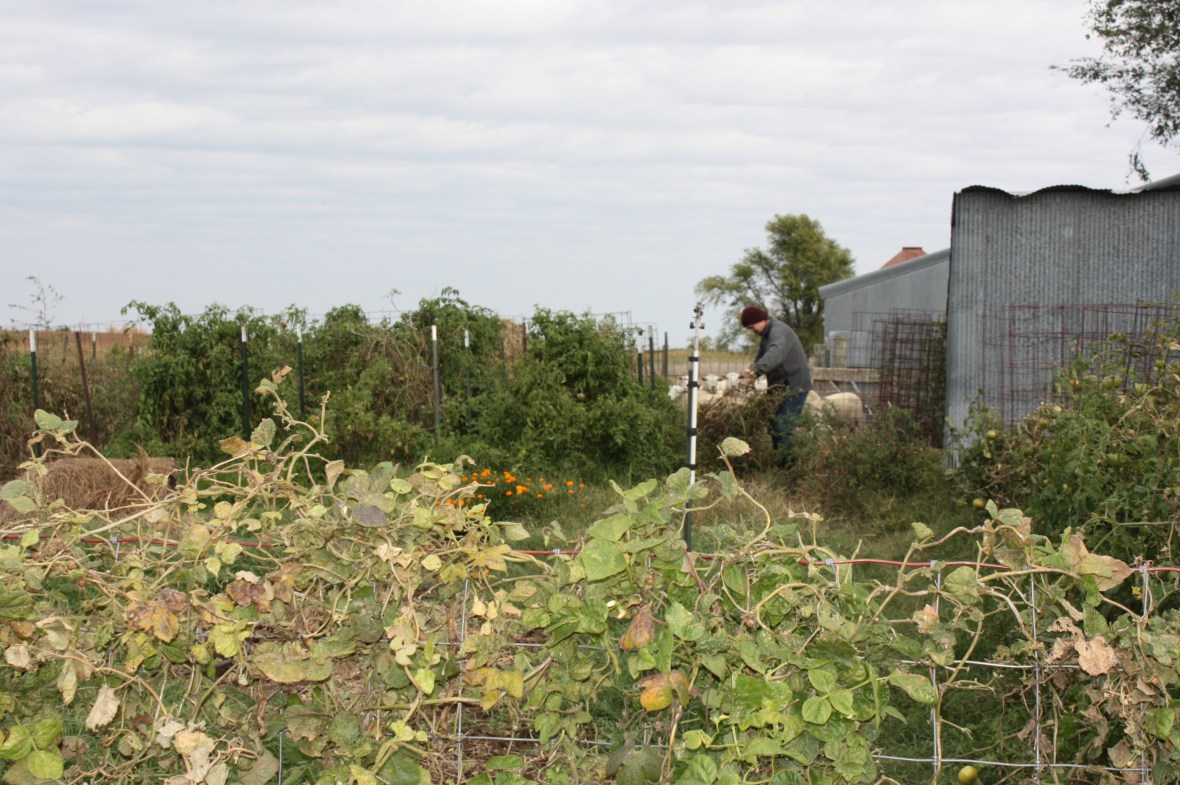 PuttingGardenToSleep_01