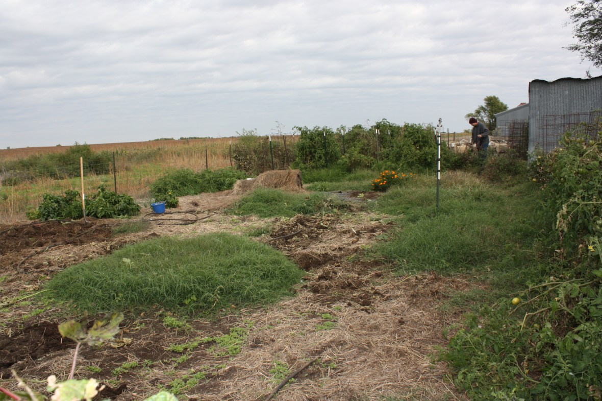 PuttingGardenToSleep_02