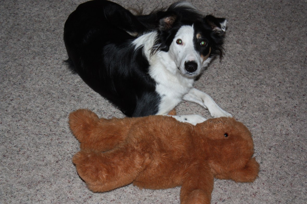 Thai&Bear_02 Thai&Bear_02