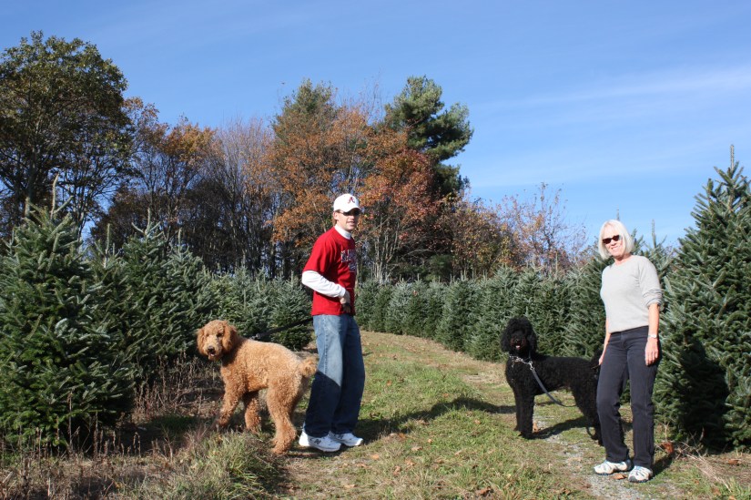 Randy&APhylWithDogs_01