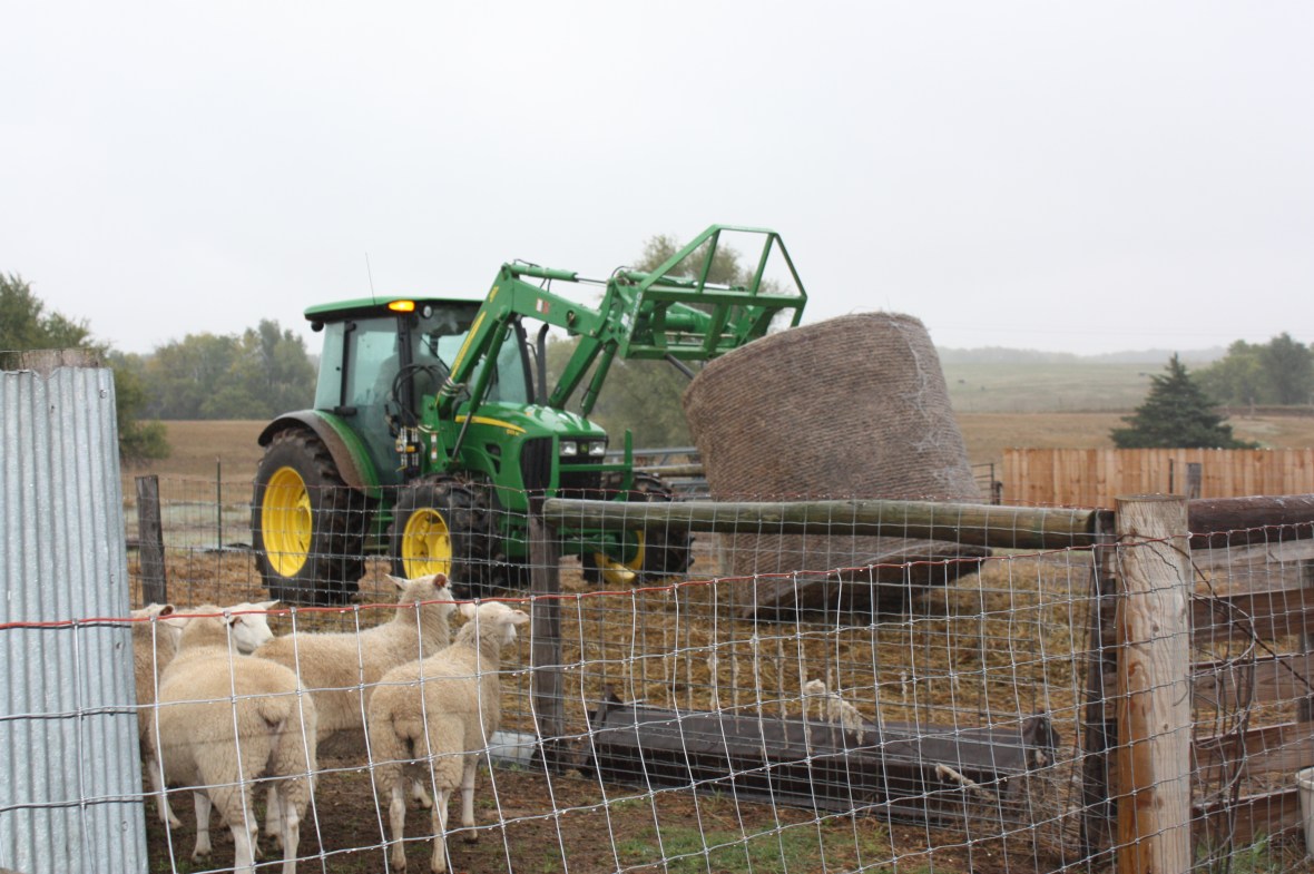 RandyDroppingHay_04 RandyDroppingHay_04