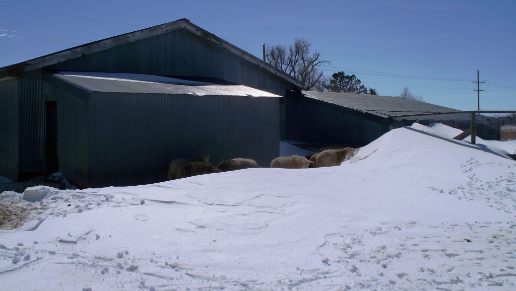 BigKids_SnowDrift_01