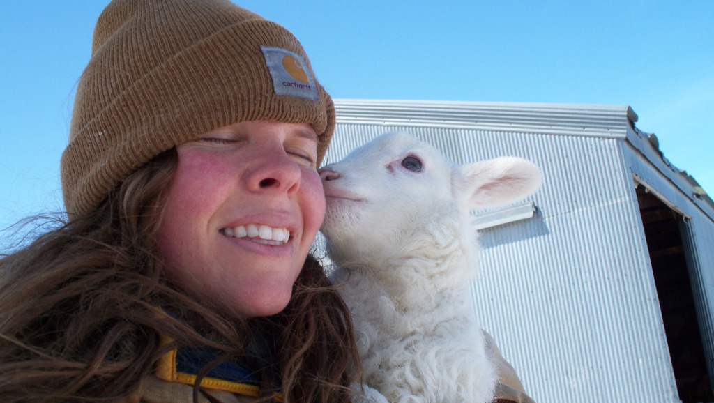 Gretchen&PolarBearSheep_04