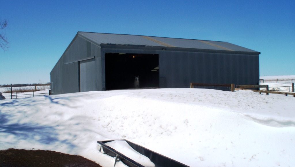 SheepBarn_SnowDrift_02