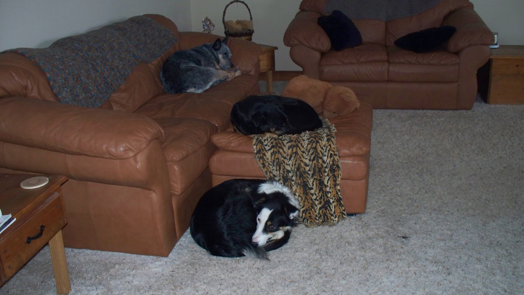 SnowDayForTheKids_02