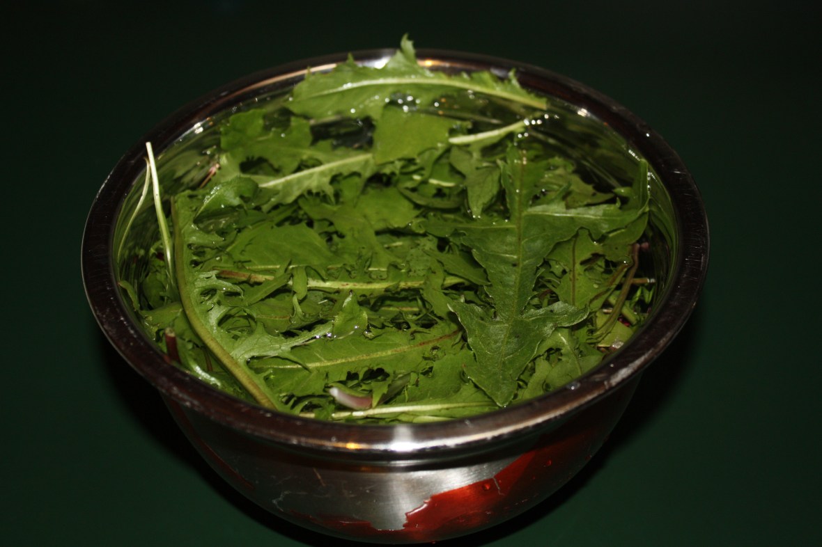 DandelionGreensSoaking