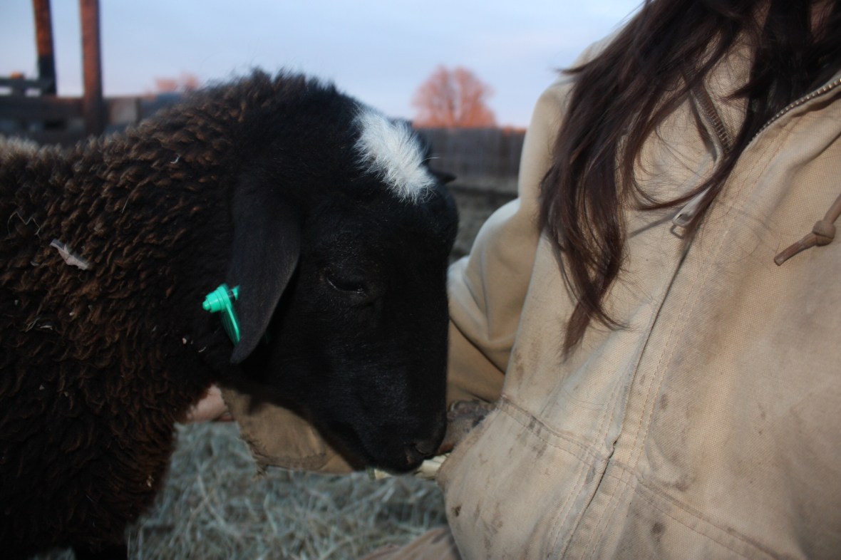 BeltieAndMyGloves_02